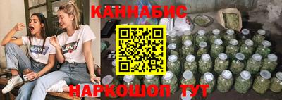 мяу мяу мука Нальчик