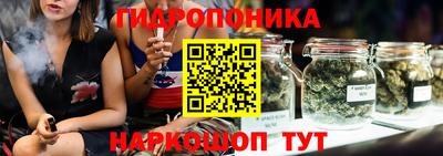 мяу мяу мука Нальчик