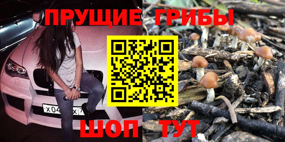 Галлюциногенные грибы Psilocybine cubensis  что такое   Новокузнецк  Вход с VPN 